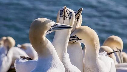 华体会体育中国官方网-探索PG电子试玩游戏的魅力：无风险的娱乐新体验